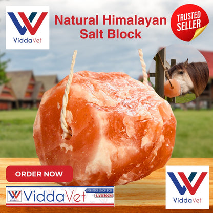 Natural Himalayan Salt Block