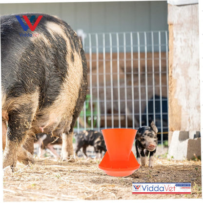 Wall Mounted Plastic Piglet Feeder