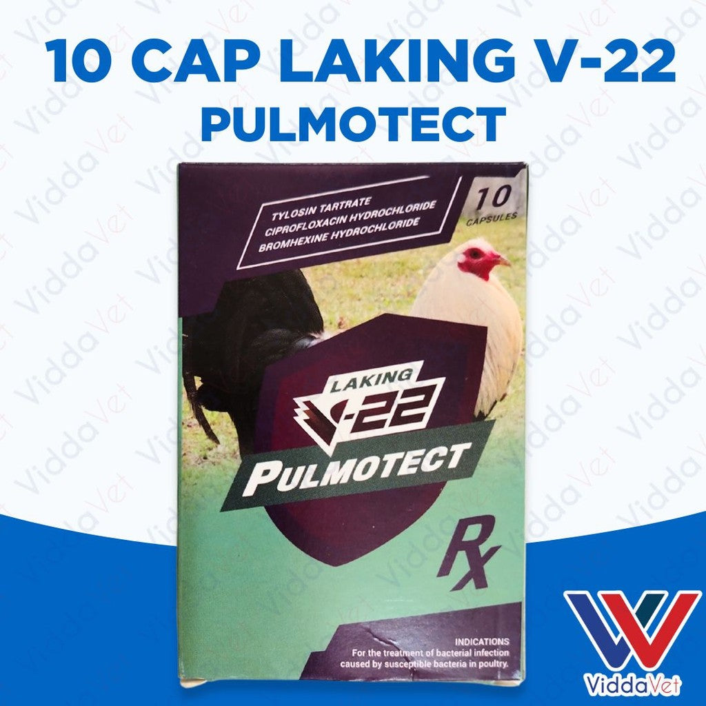 Laking V22 Pulmotect 10 Capsule