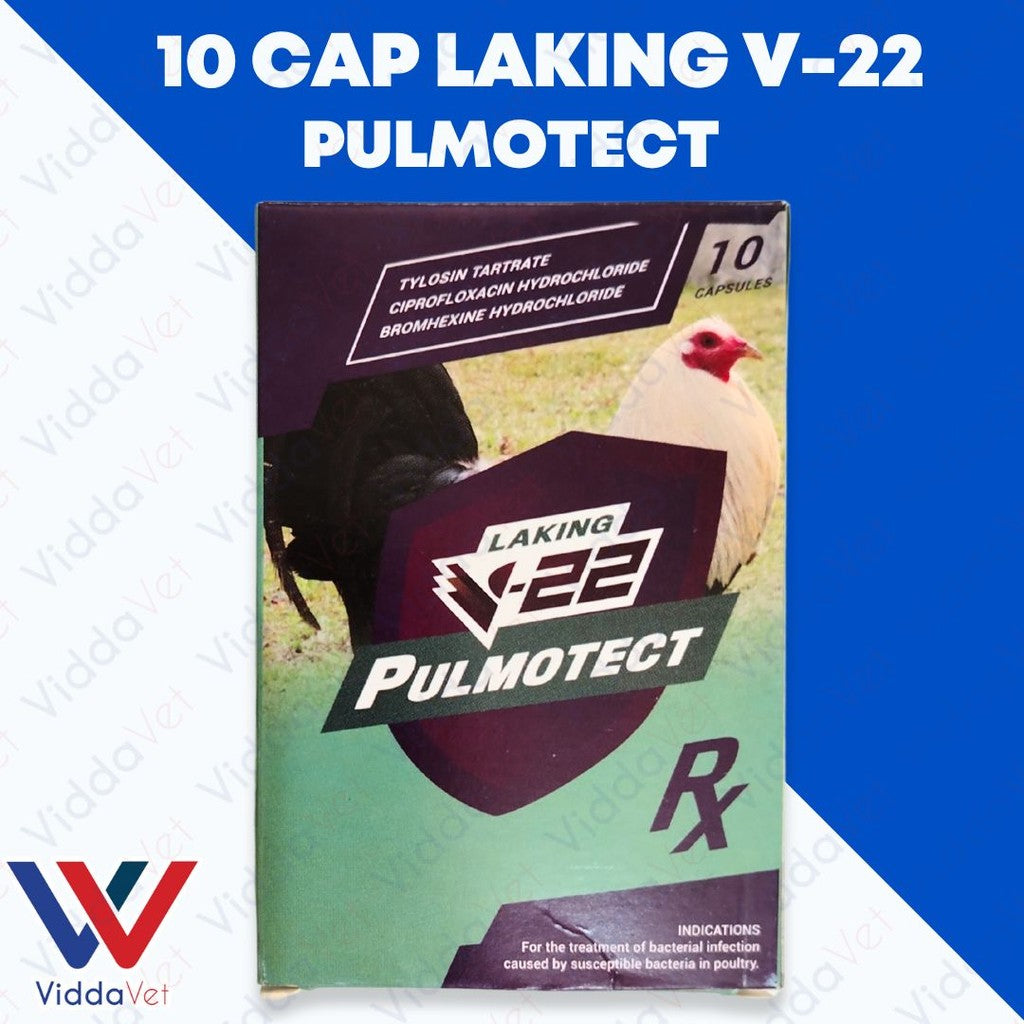 Laking V22 Pulmotect 10 Capsule