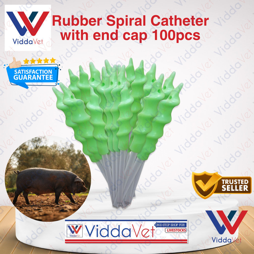 Pig Spiral Catheter 100pcs