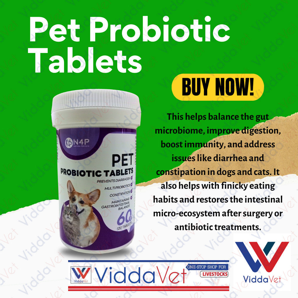 N4P Pet Probiotic 120 Tablets