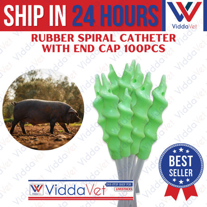 Pig Spiral Catheter 100pcs
