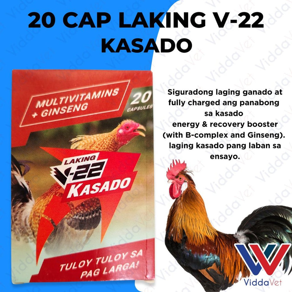 Laking V-22 Kasado 20 Capsules - Premium Veterinary Supplement ...