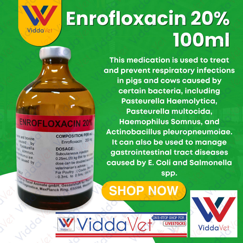 Viddavet Enro 20% 100ml for animals professional Strength Enrofloxacin Suspension 20%