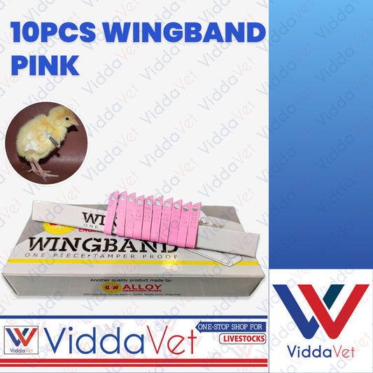 10pcs Wingband Pink