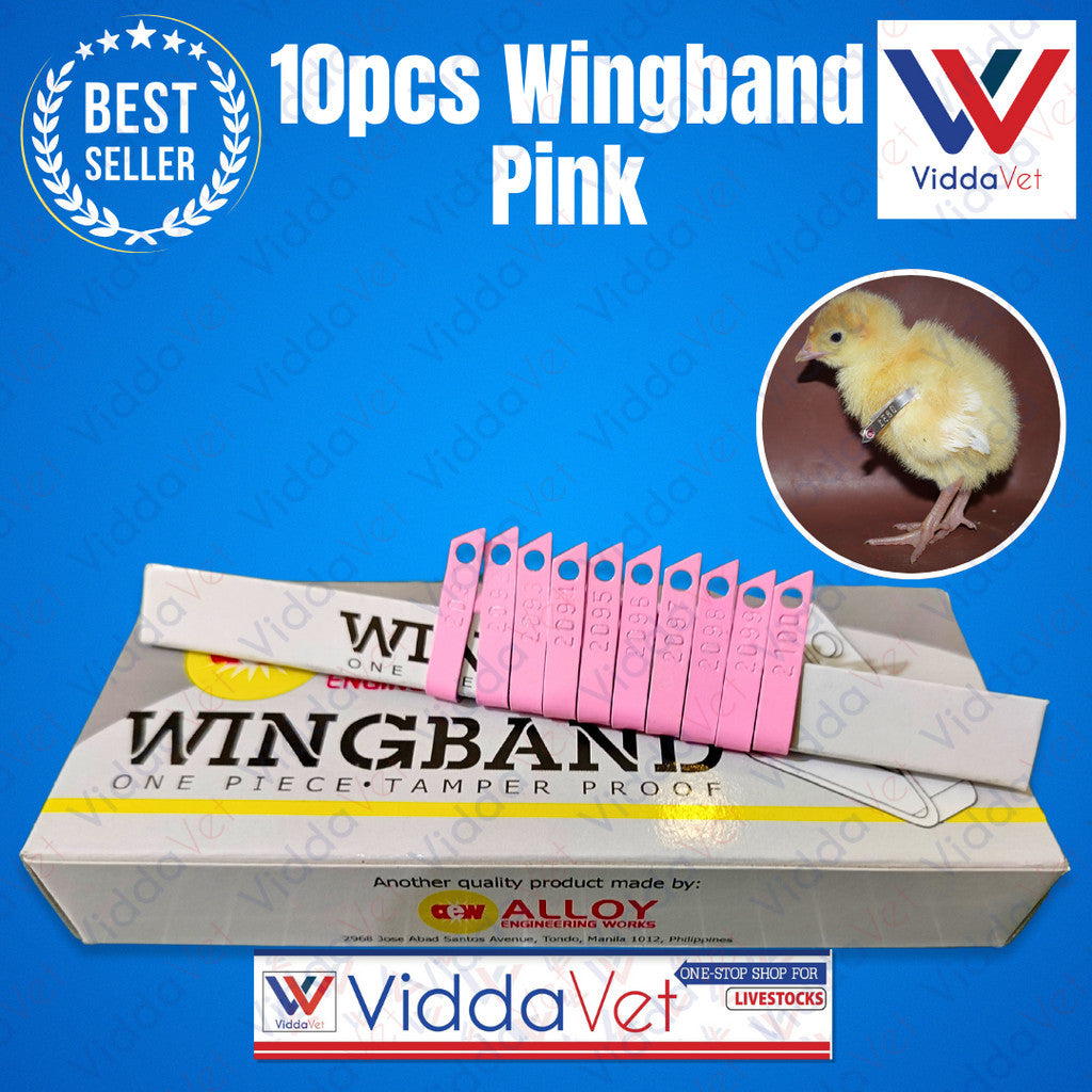 10pcs Wingband Pink
