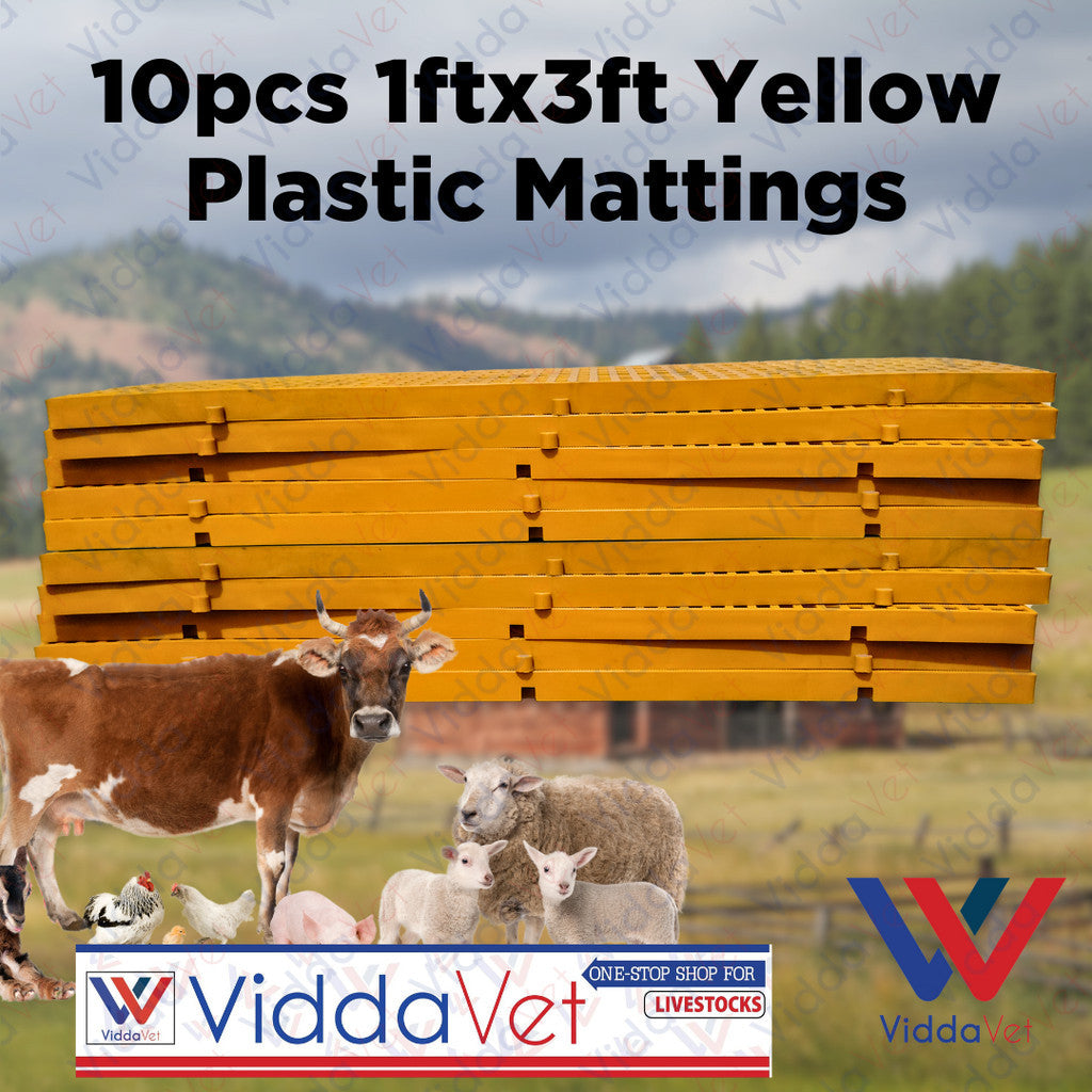 Plastic Mattings Yellow Golden Matt 1x3 10pcs