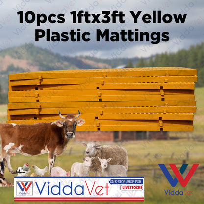 Plastic Mattings Yellow Golden Matt 1x3 10pcs