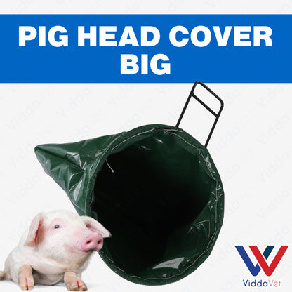 Pig Head Cover Big