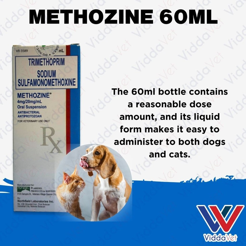 Methozine 60ml