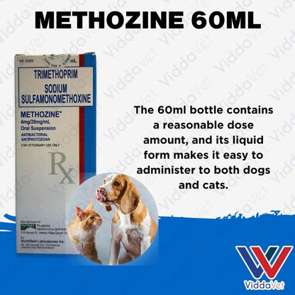 Methozine 60ml