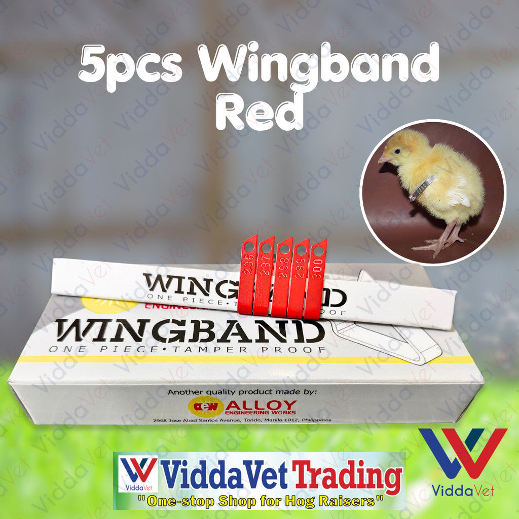 Wing Bands Red 5pcs