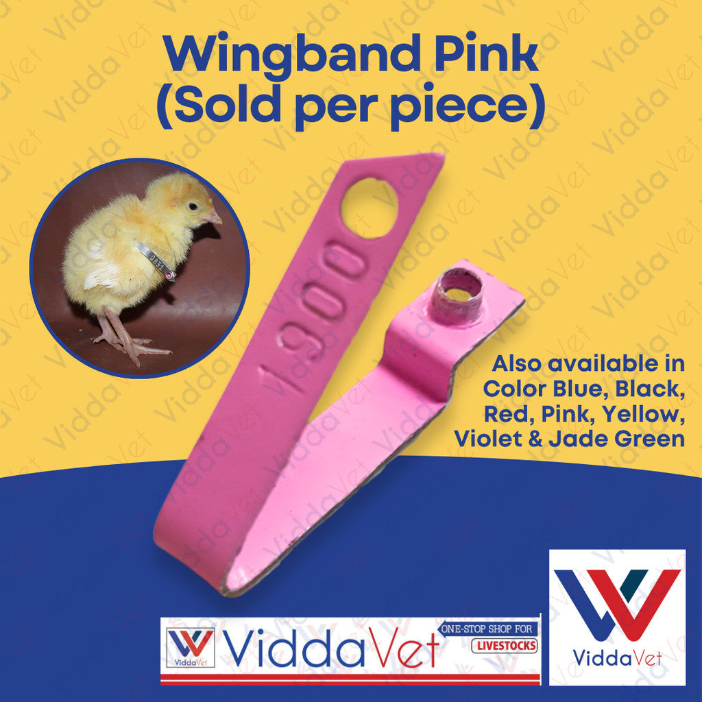 Wing Band Pink 1PC