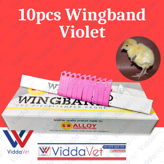 Wing Bands Violet 10pcs