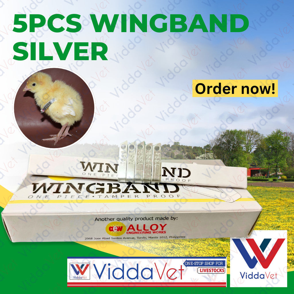 Wing Bands Silver 5pcs