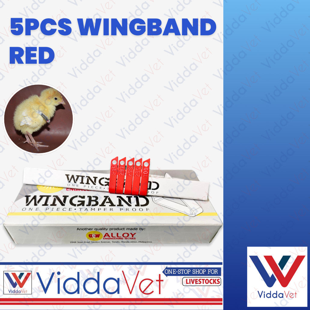 Wing Bands Red 5pcs
