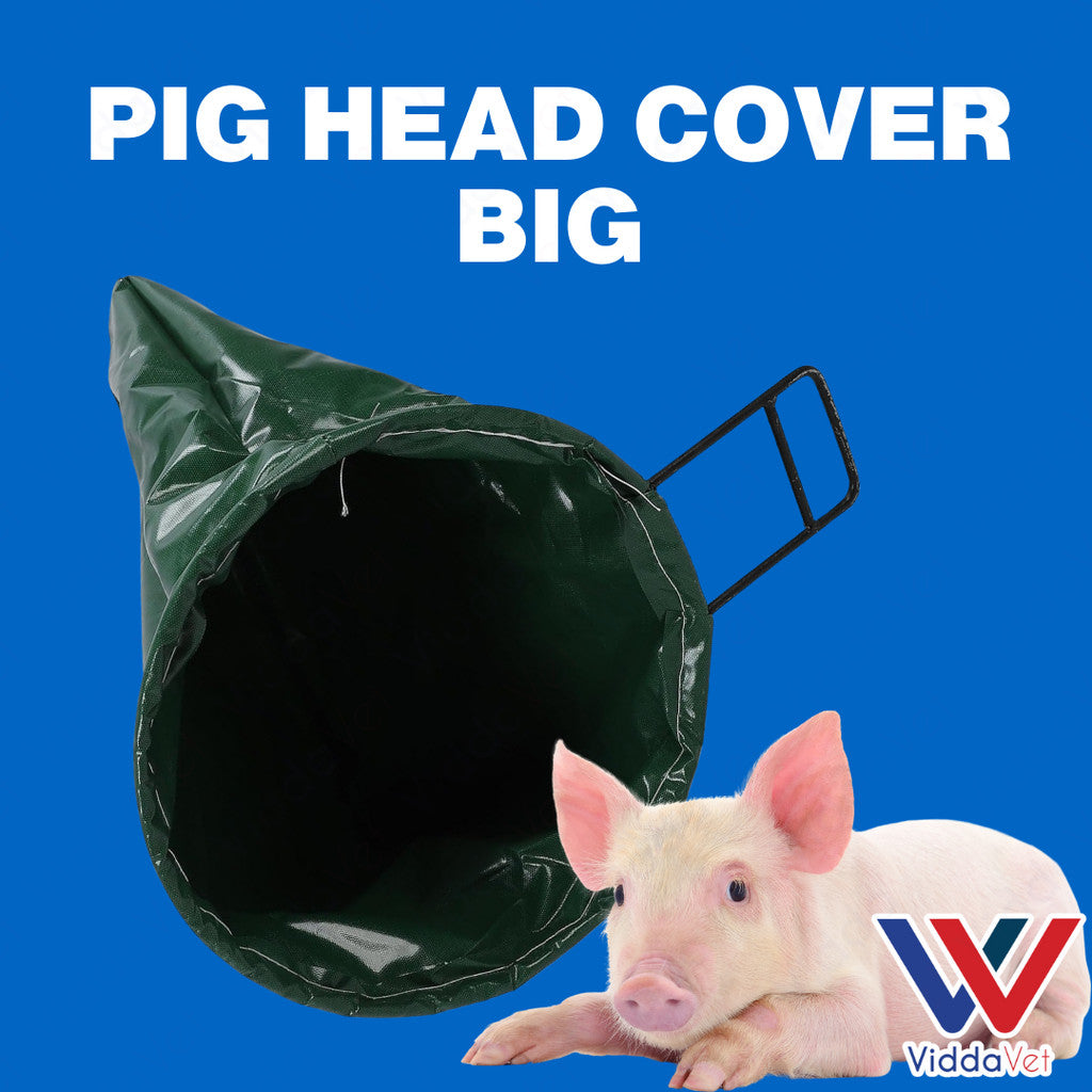 Pig Head Cover Big