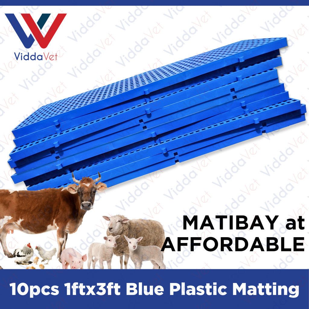 Plastic Mattings Blue 1x3 10pcs