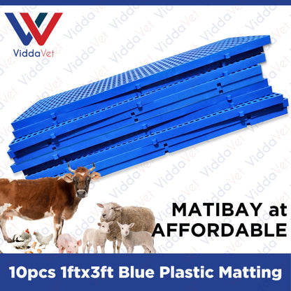 Plastic Mattings Blue 1x3 10pcs
