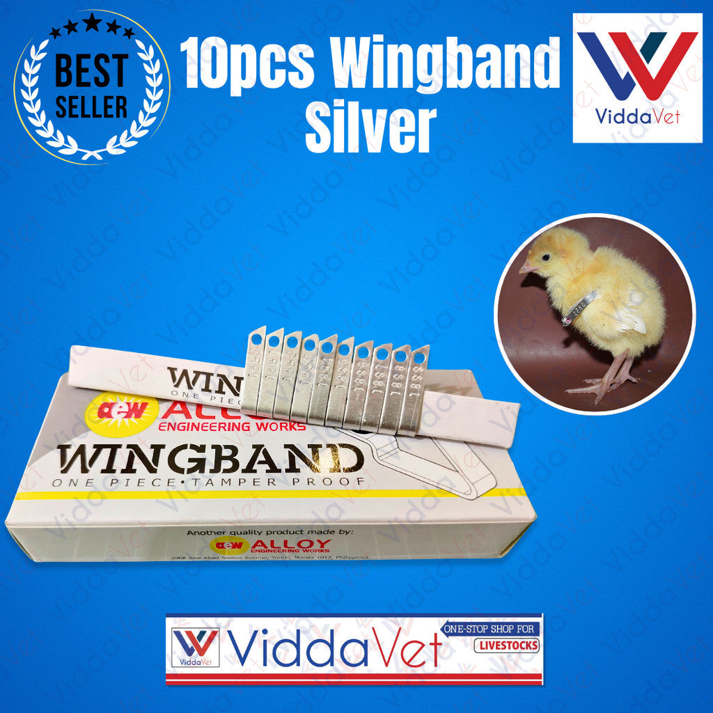Wing Bands Silver 10pcs