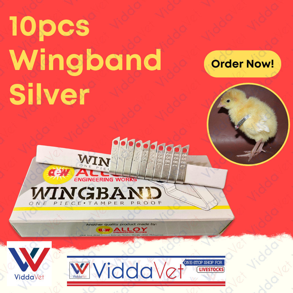 Wing Bands Silver 10pcs