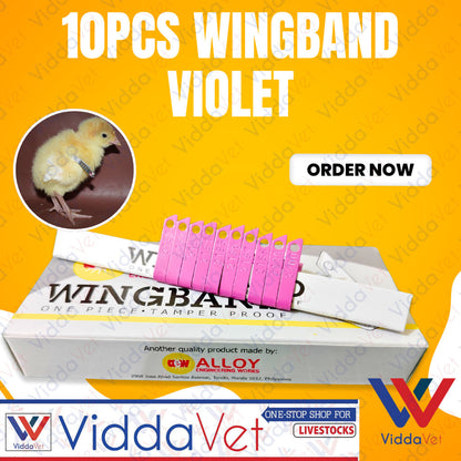 Wing Bands Violet 10pcs