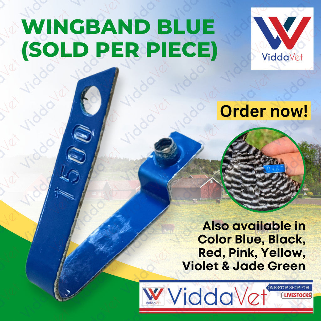 WingBand Blue 1pc