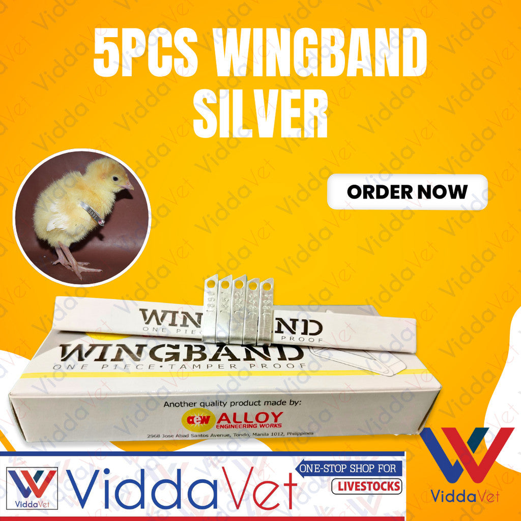 Wing Bands Silver 5pcs