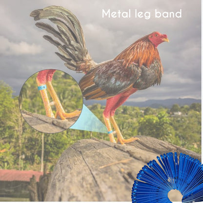 Metal Leg Band (5pcs / 10pcs)