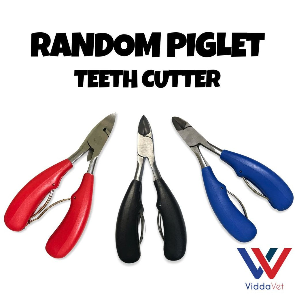 Piglet Teeth Cutter (Random)
