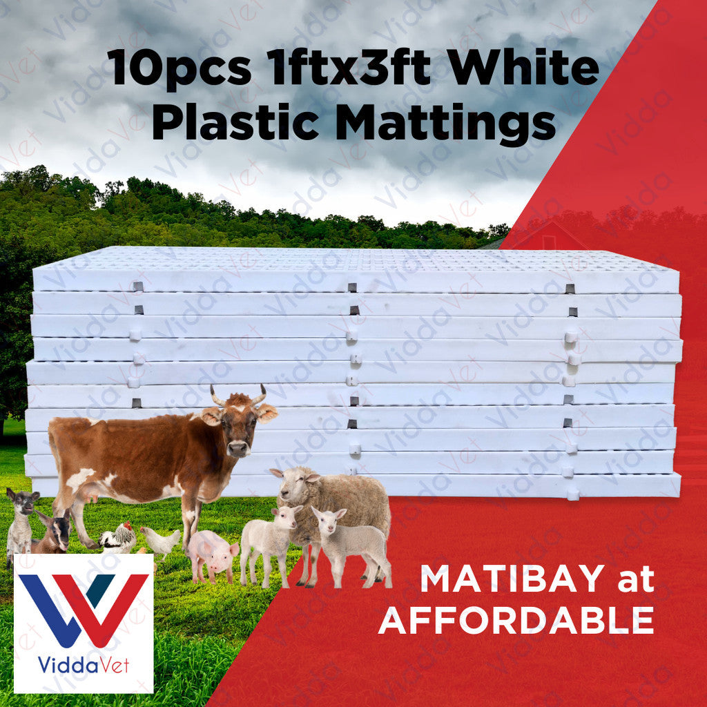 Plastic Mattings White 1x3 10pcs
