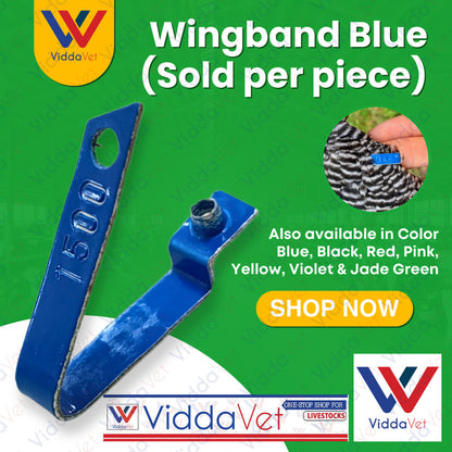WingBand Blue 1pc