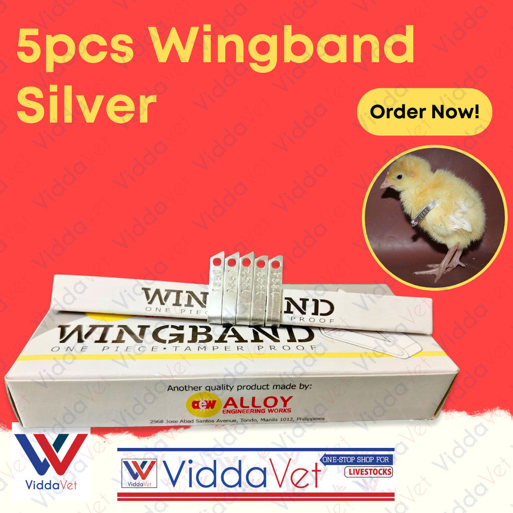 Wing Bands Silver 5pcs