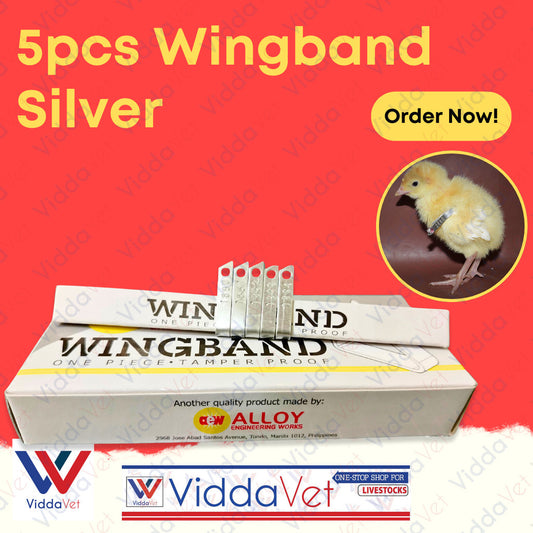 Wing Bands Silver 5pcs