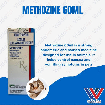 Methozine 60ml
