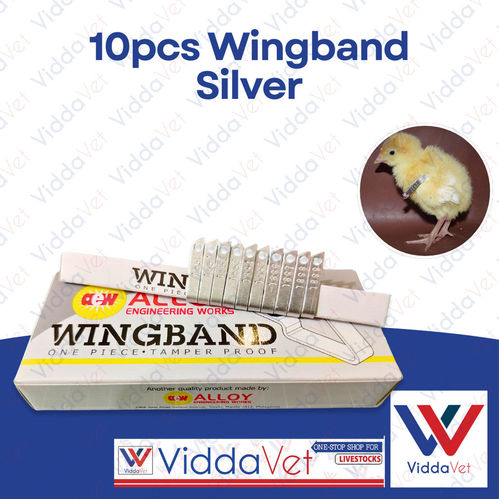 Wing Bands Silver 10pcs