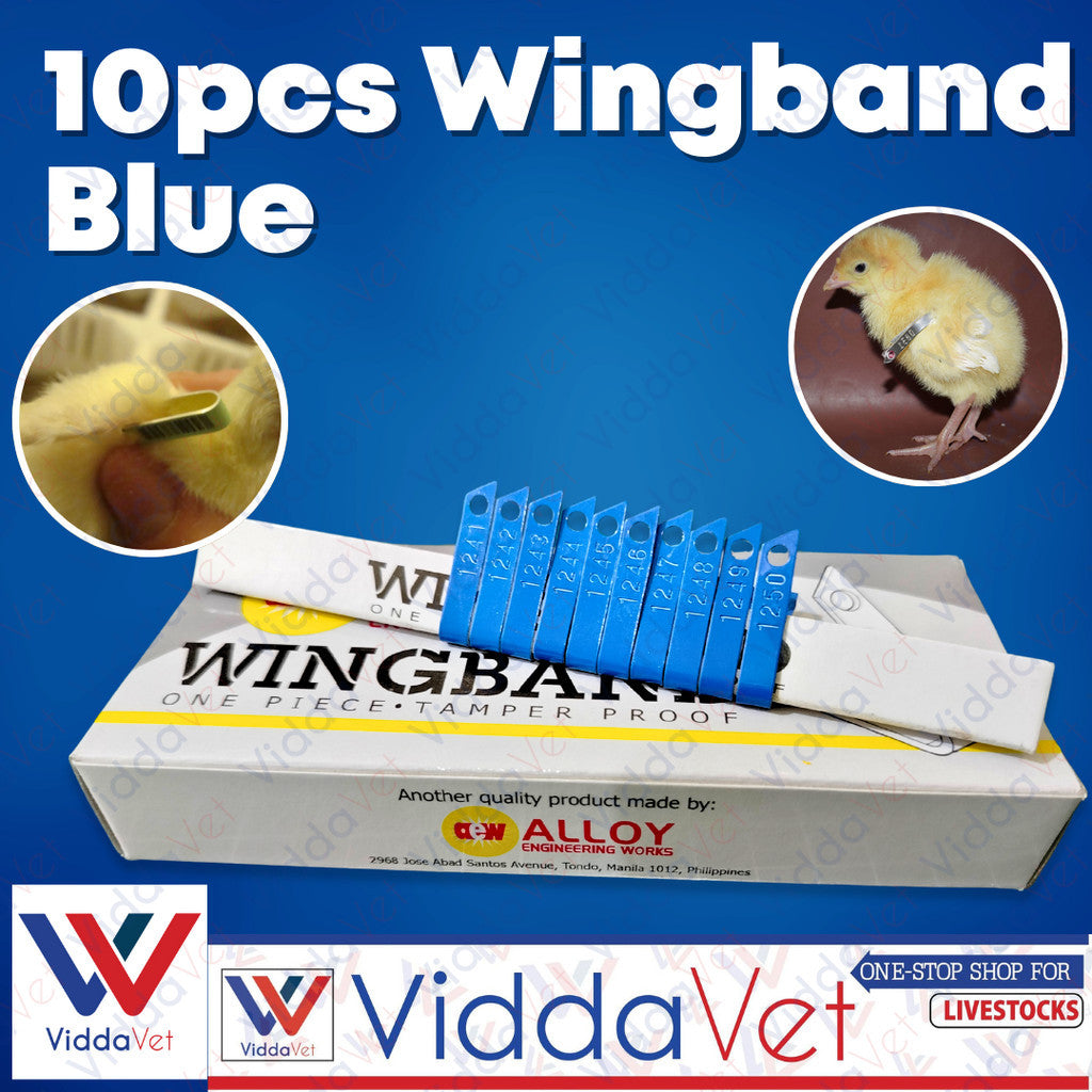 Wing Bands Blue 10pcs