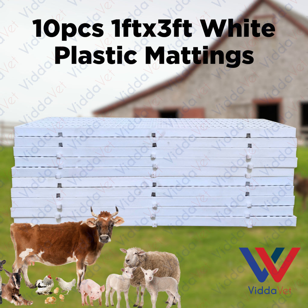 Plastic Mattings White 1x3 10pcs