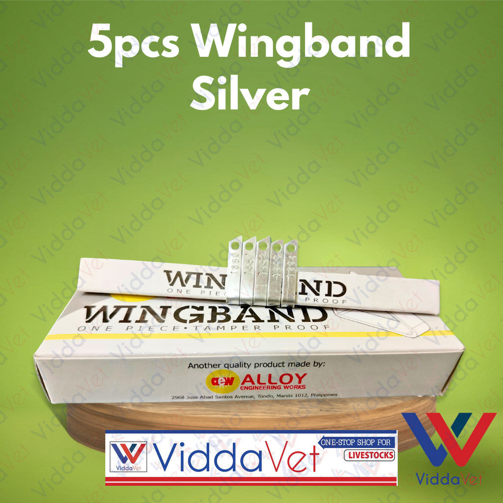 Wing Bands Silver 5pcs