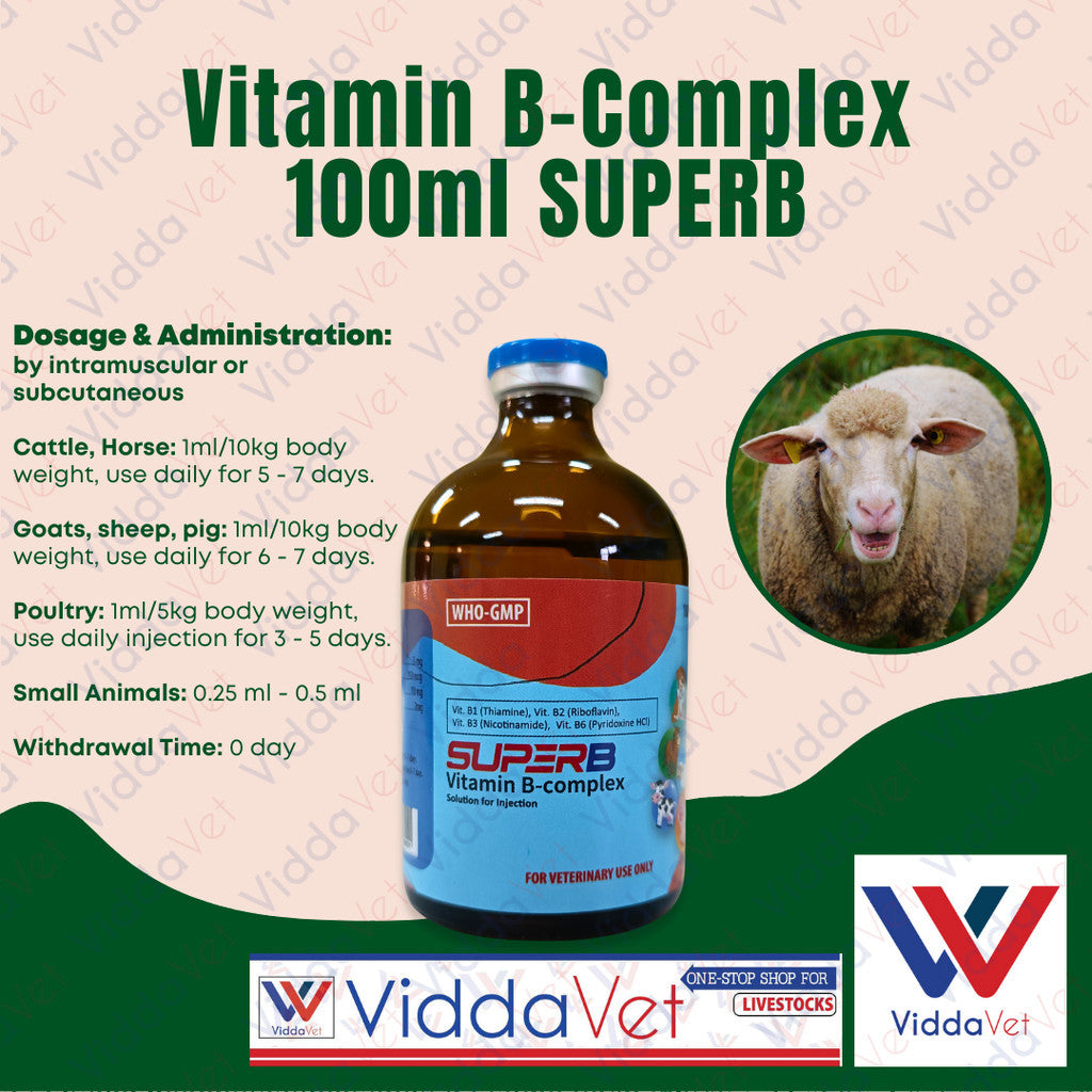 SUPERB Vitamin B-Complex 100ml