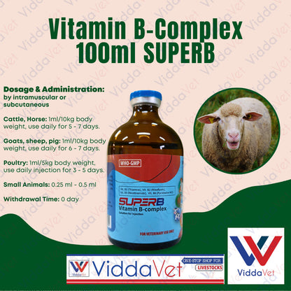 SUPERB Vitamin B-Complex 100ml