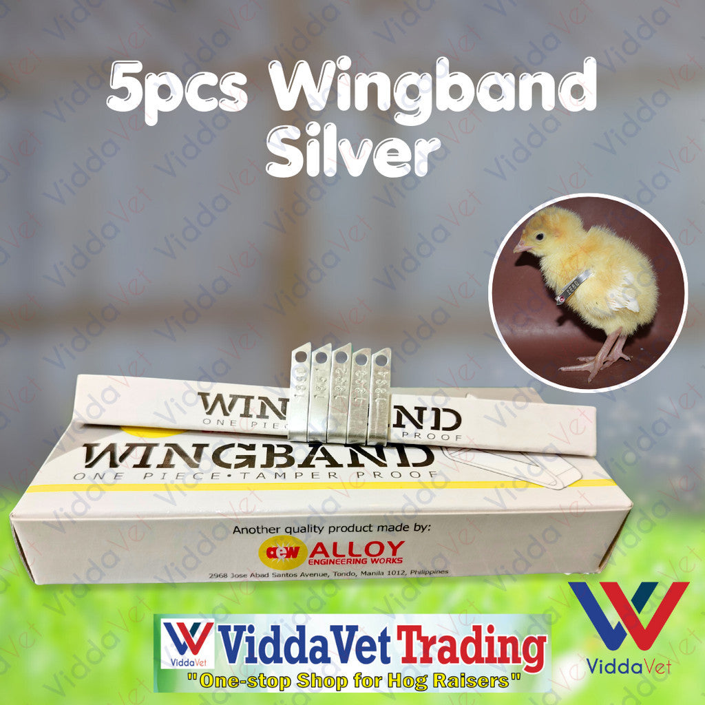 Wing Bands Silver 5pcs