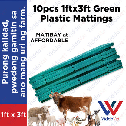 Plastic Mattings Green 1x3 10pcs