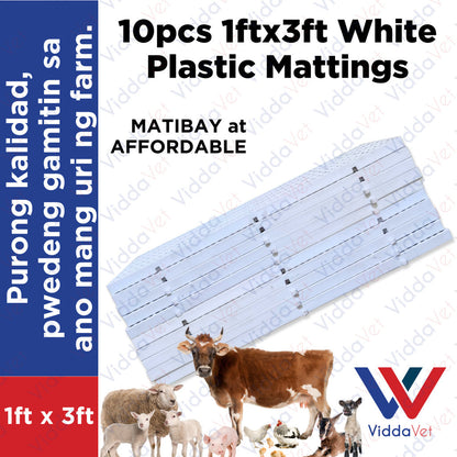 Plastic Mattings White 1x3 10pcs