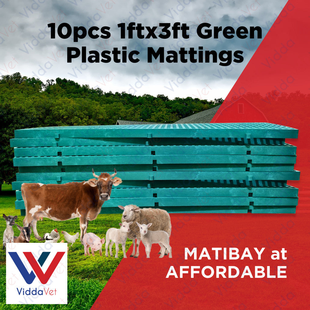 Plastic Mattings Green 1x3 10pcs