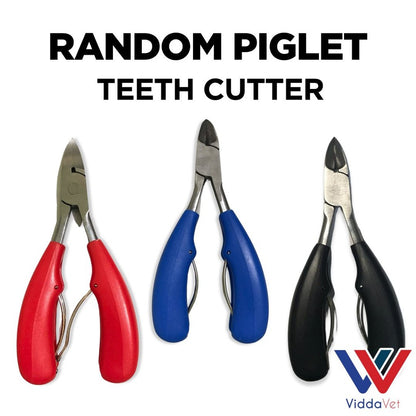 Piglet Teeth Cutter (Random)