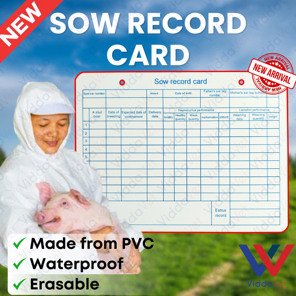 Sow Record Card