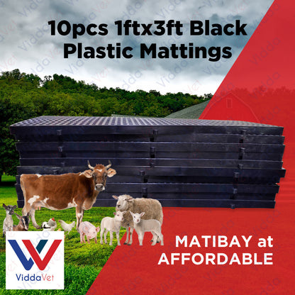Plastic Mattings Black 1x3 10pcs