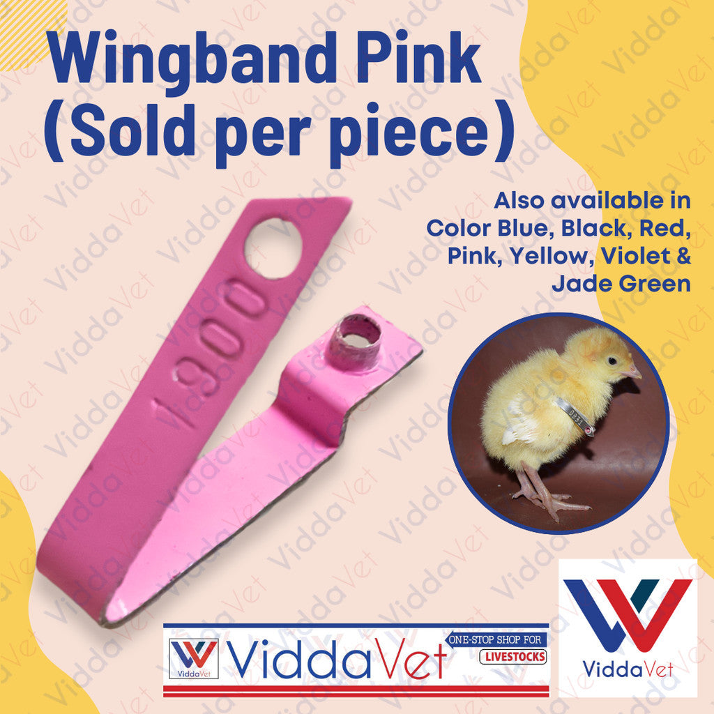 Wing Band Pink 1PC